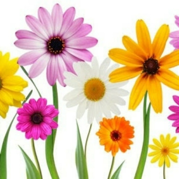 Sale***Sale***Sale*** - Picture 1 of 3